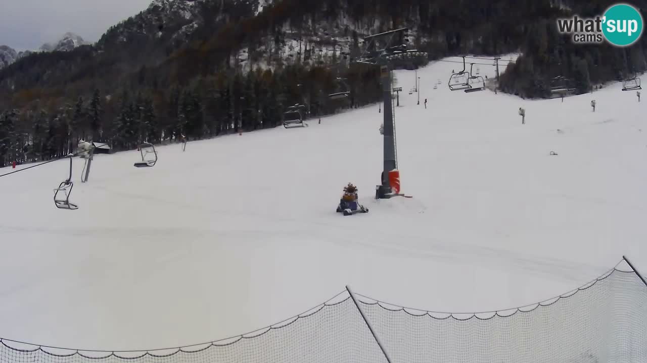 Webcam Kranjska Gora Vitranc | Smučarska proga Vitranc 1