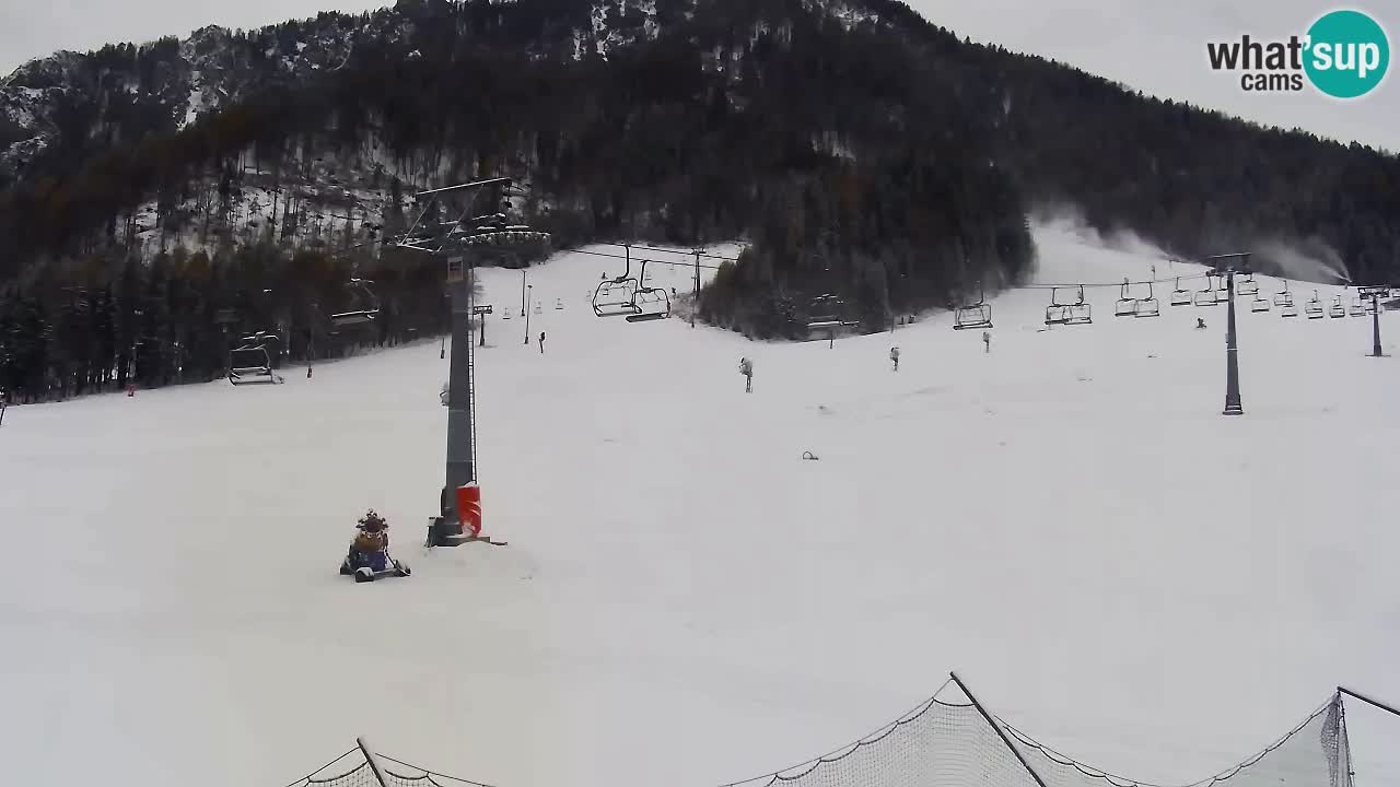 LIVE kamera SKI Kranjska Gora – Vitranc – Slovenija