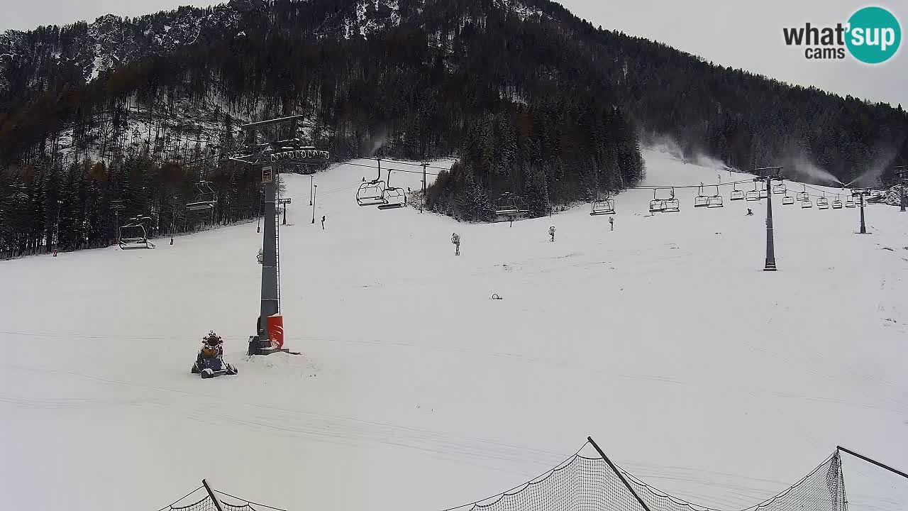 Webcam Kranjska Gora Vitranc | Smučarska proga Vitranc 1