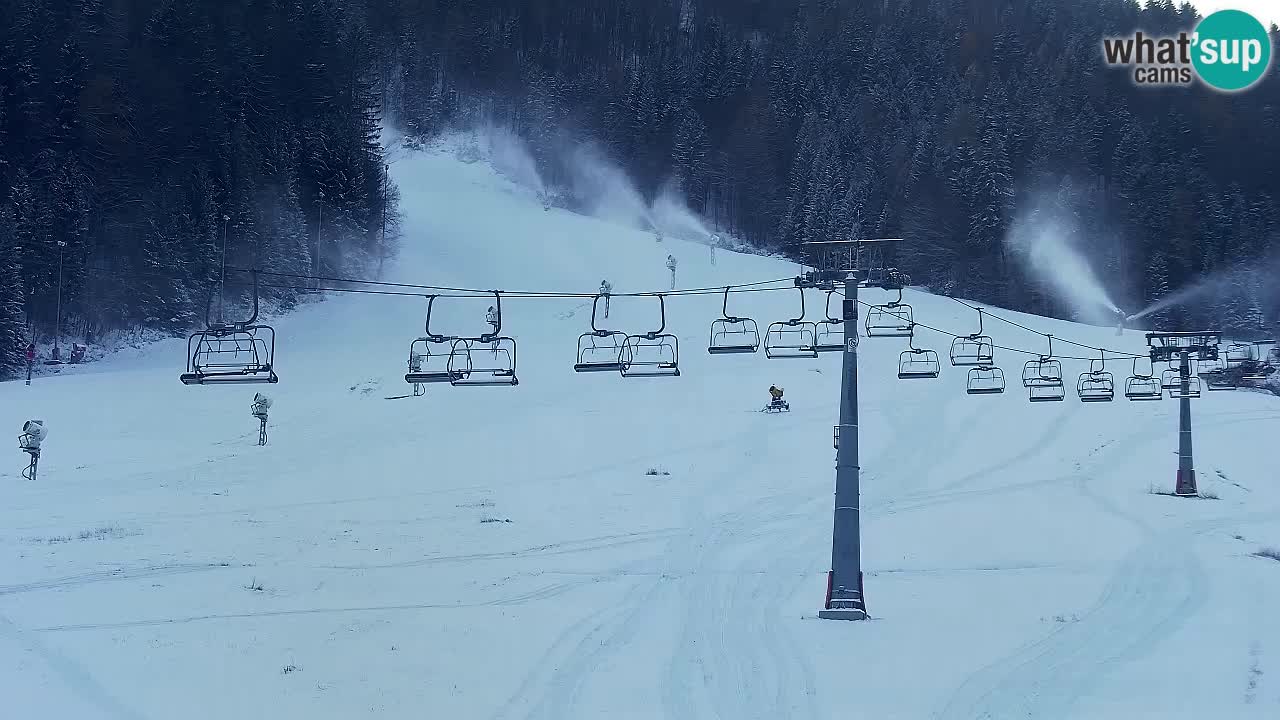 Bike Park Kranjska Gora