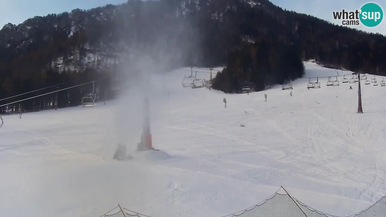 Webcam Kranjska Gora Vitranc | Smučarska proga Vitranc 1