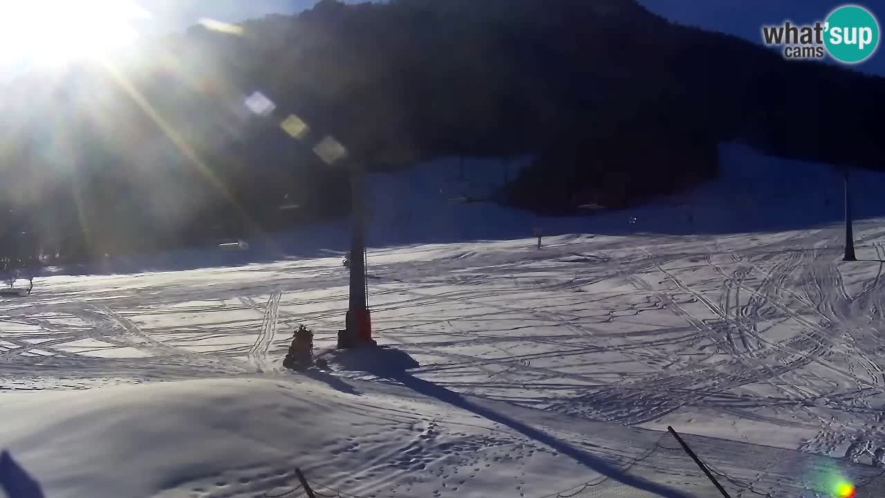 Webcam Kranjska Gora Vitranc | Smučarska proga Vitranc 1