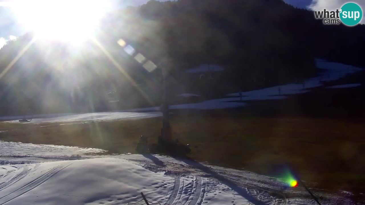 Webcam Kranjska Gora Vitranc | Smučarska proga Vitranc 1