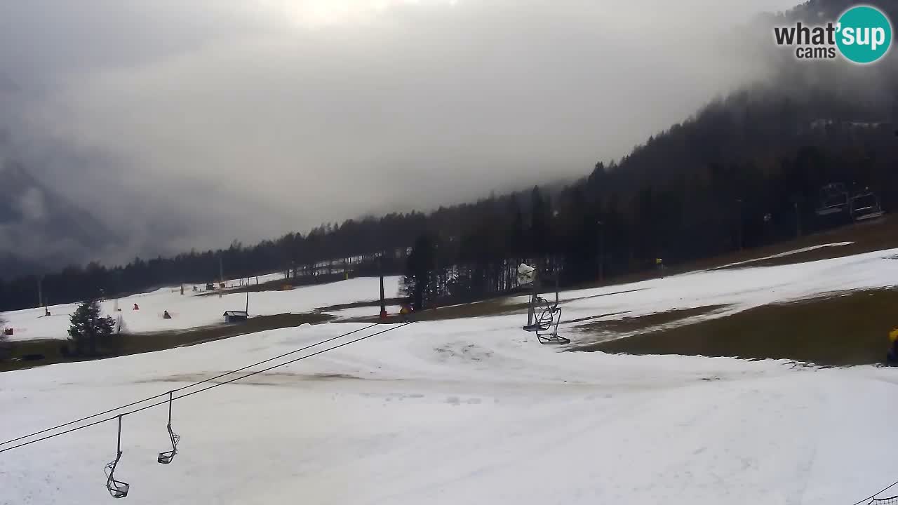 Webcam Kranjska Gora Vitranc | Smučarska proga Vitranc 1