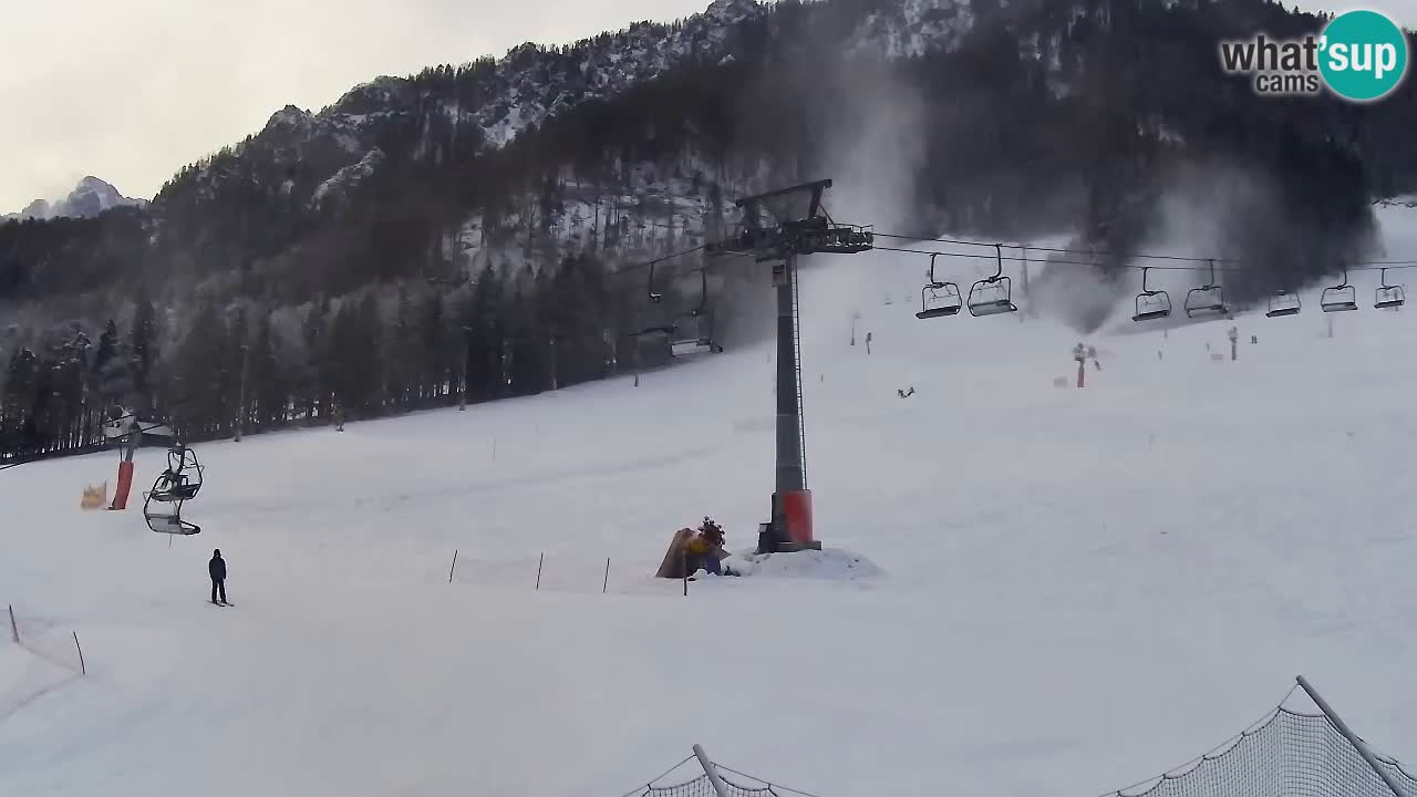 Webcam Kranjska Gora Vitranc | Smučarska proga Vitranc 1