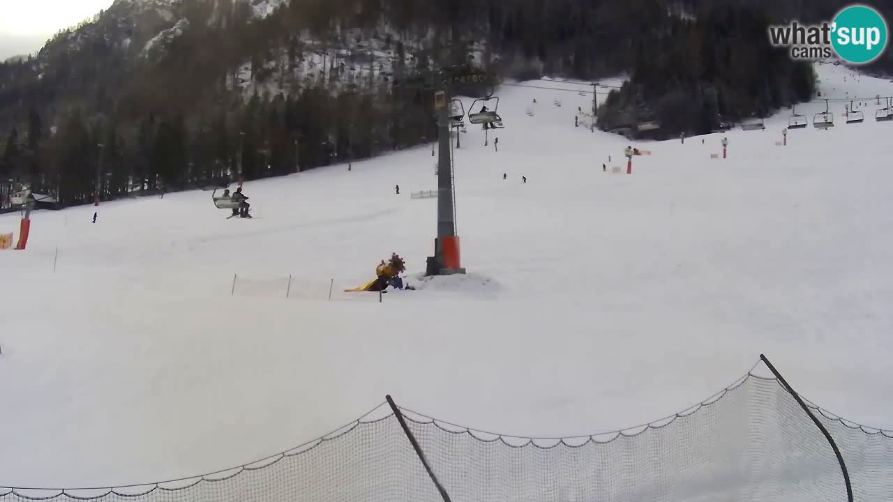 Bike Park Kranjska Gora