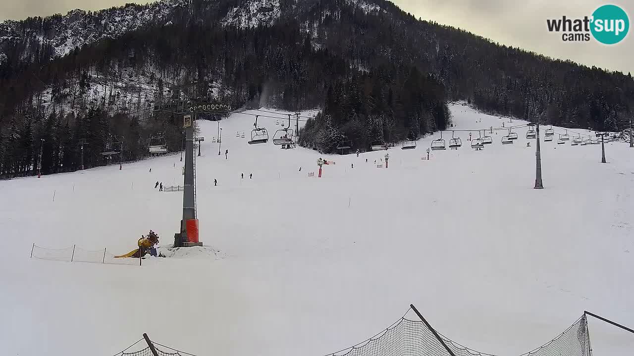 Webcam Kranjska Gora Vitranc | Smučarska proga Vitranc 1