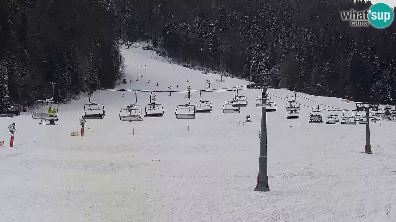 LIVE kamera SKI Kranjska Gora – Vitranc – Slovenija