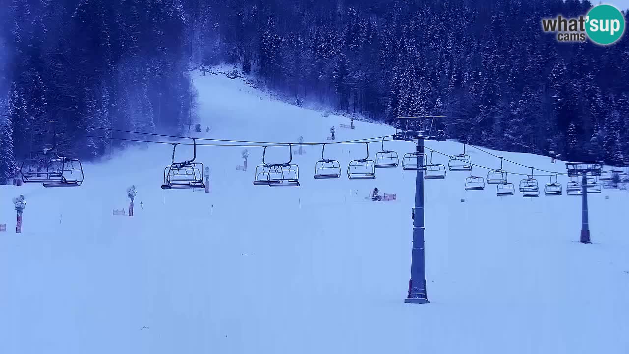 LIVE cam SKI Kranjska Gora – Vitranc – Slovenia