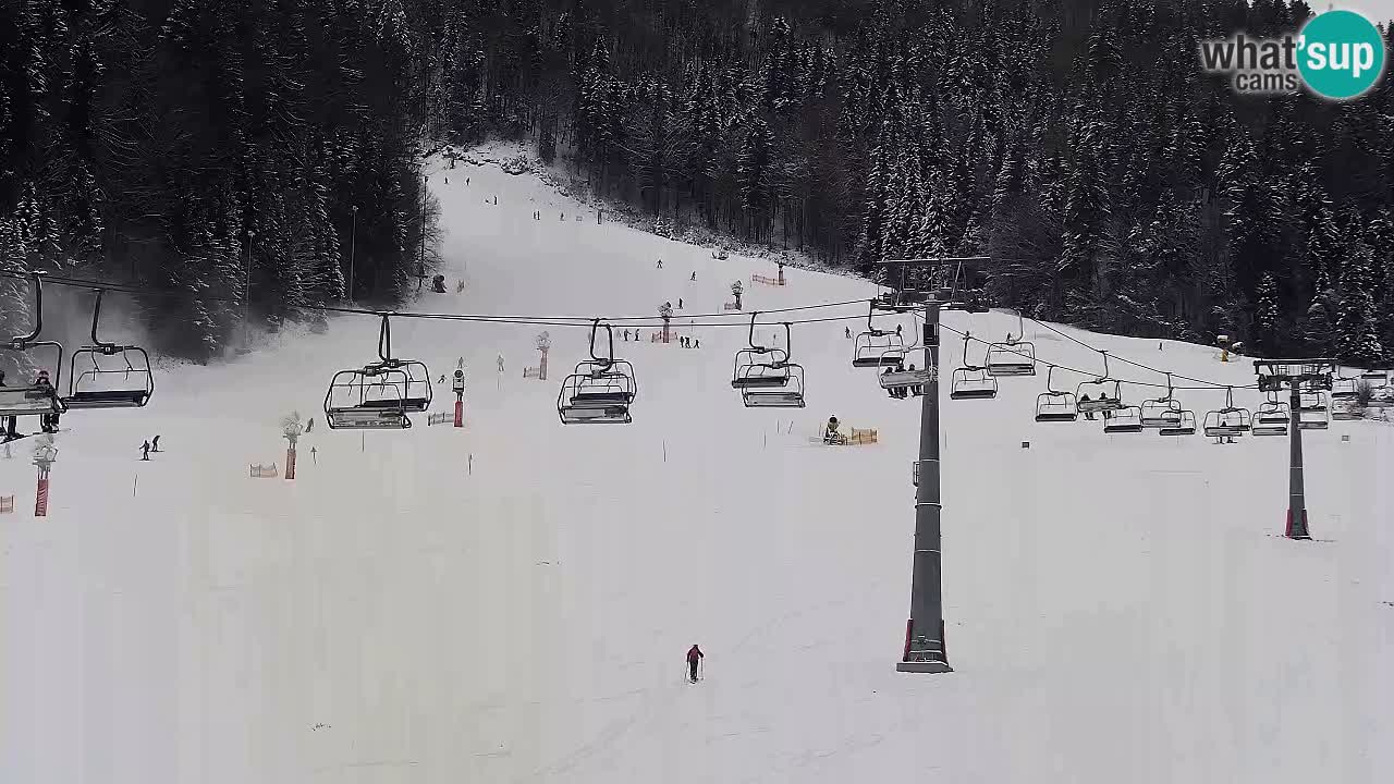 LIVE cam SKI Kranjska Gora – Vitranc – Slovenia