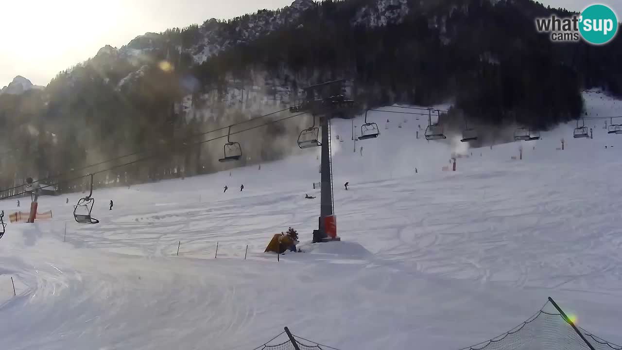 Webcam Kranjska Gora Vitranc | Smučarska proga Vitranc 1