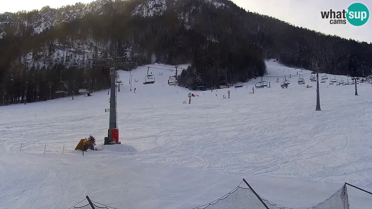 Webcam Kranjska Gora Vitranc | Smučarska proga Vitranc 1