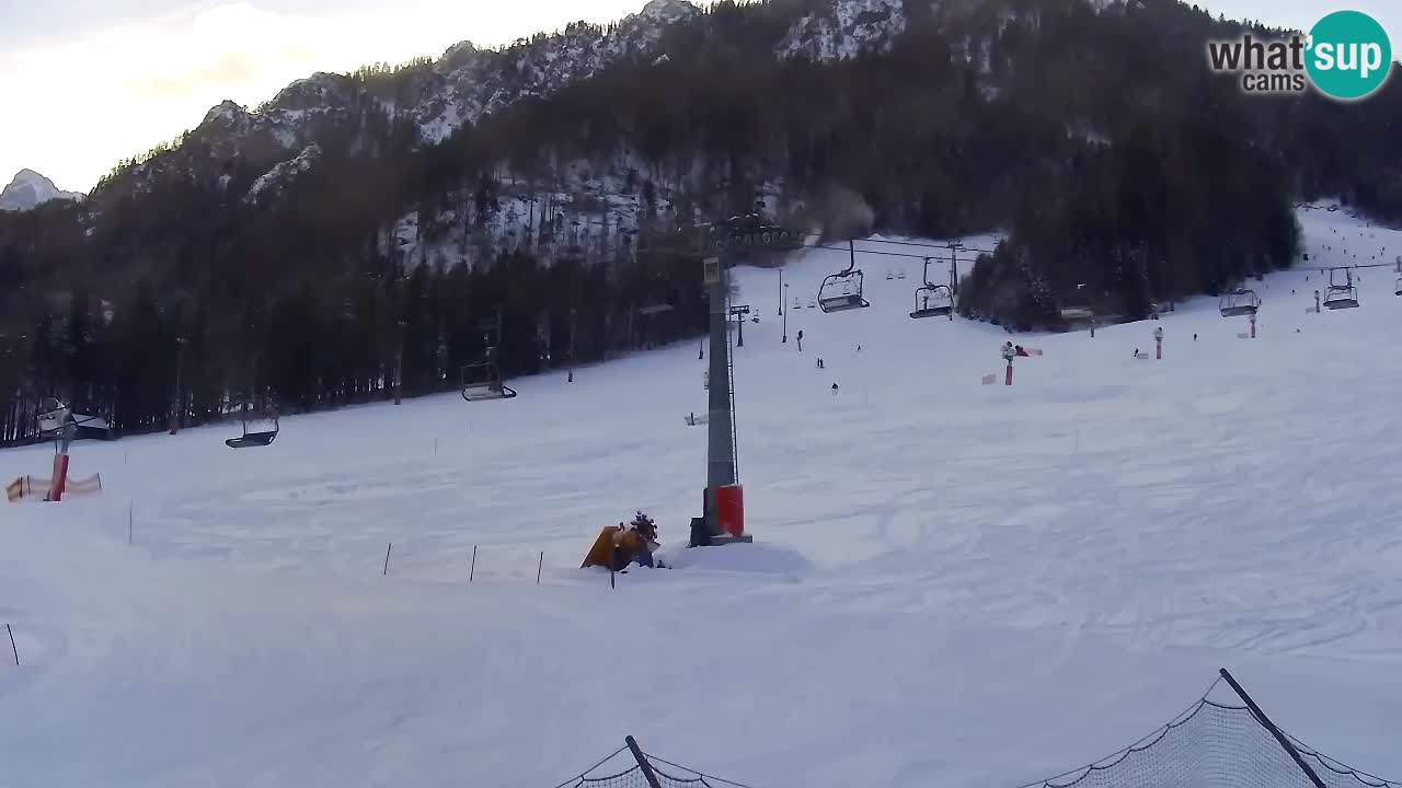 Kranjska Gora Live Cam Vitranc 1 | SKI Resort