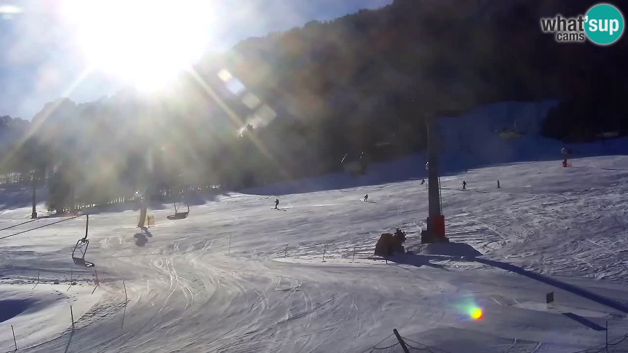 Bike Park Kranjska Gora