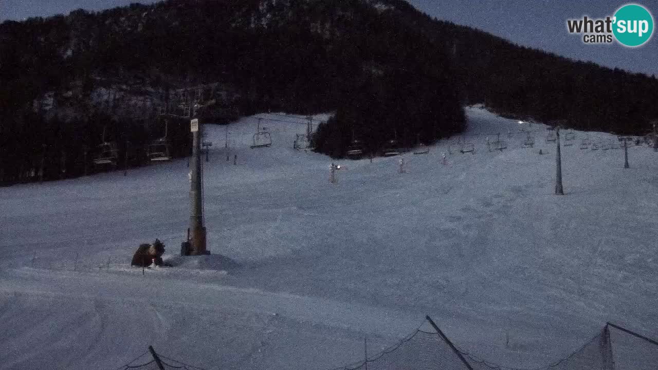 Kranjska Gora Live Cam Vitranc 1 | SKI Resort