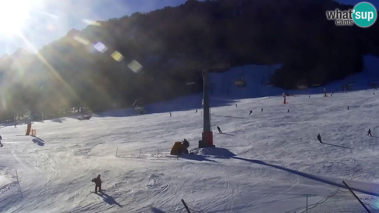 LIVE cam SKI Kranjska Gora – Vitranc – Poletno sankanje Furious Pehta