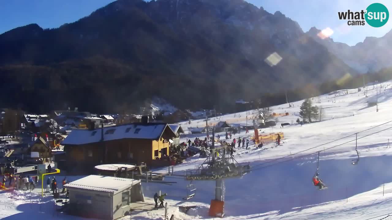 LIVE cam SKI Kranjska Gora – Vitranc – Poletno sankanje Furious Pehta