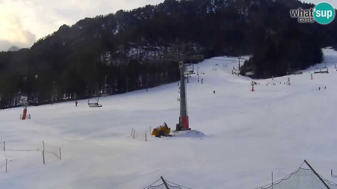 Bike Park Kranjska Gora