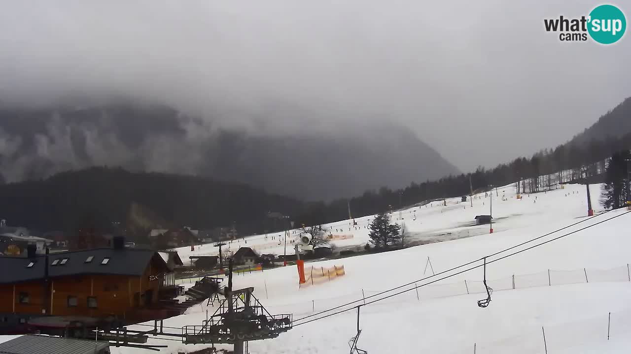 LIVE cam SKI Kranjska Gora – Vitranc – Poletno sankanje Furious Pehta