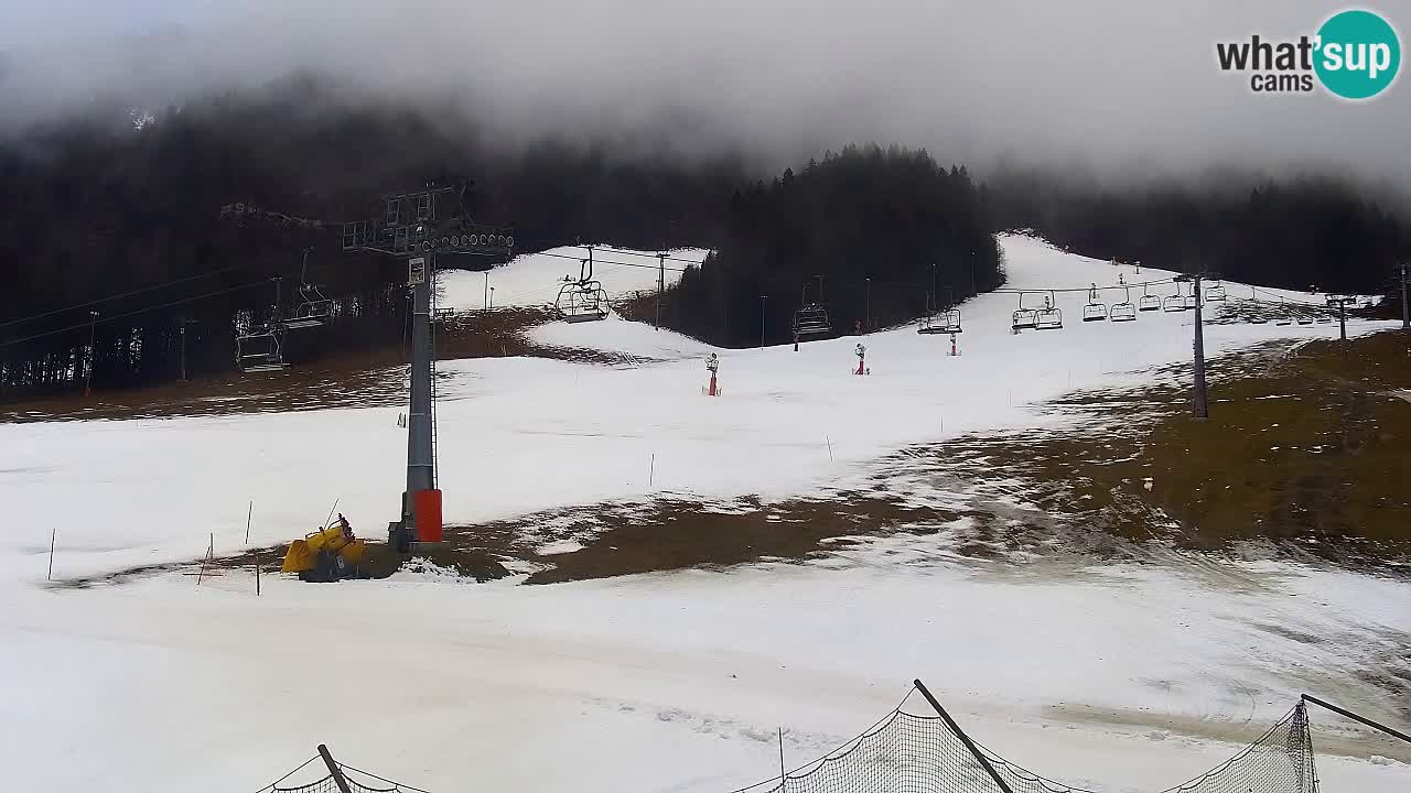 Webcam Kranjska Gora Vitranc | Smučarska proga Vitranc 1