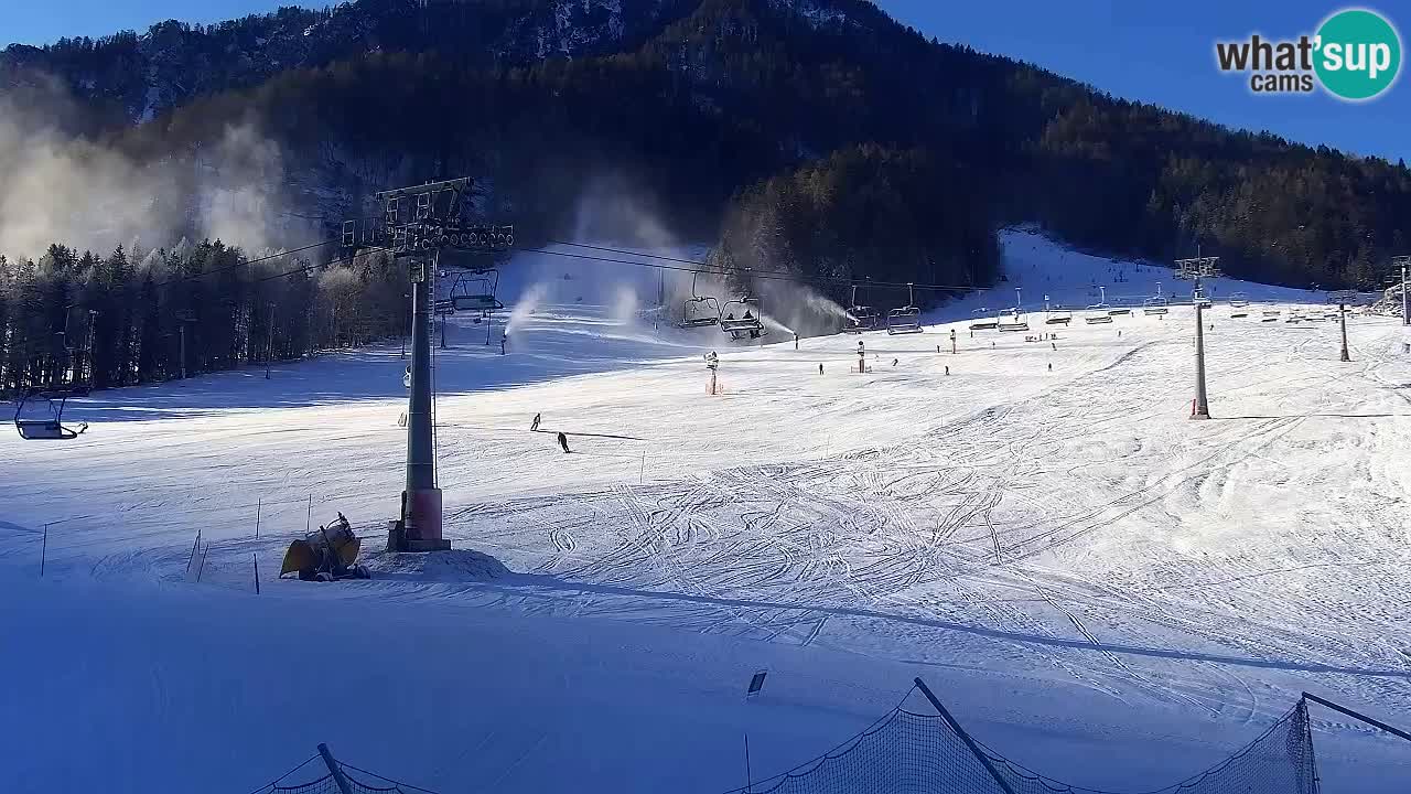 Kranjska Gora Live Cam Vitranc 1 | SKI Resort