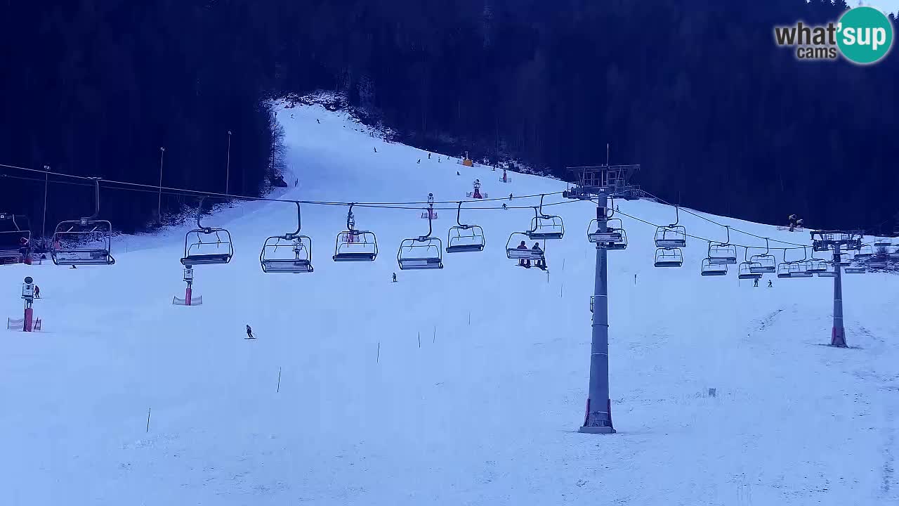 Bike Park Kranjska Gora