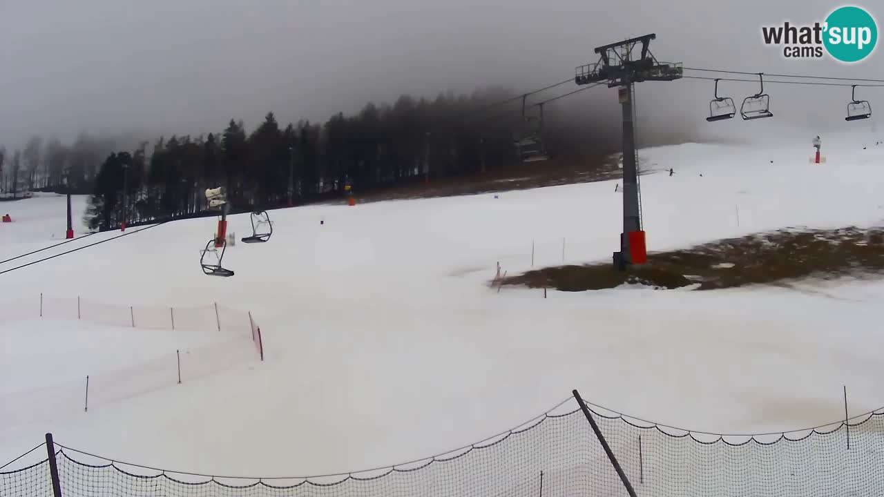 Webcam Kranjska Gora Vitranc | Smučarska proga Vitranc 1