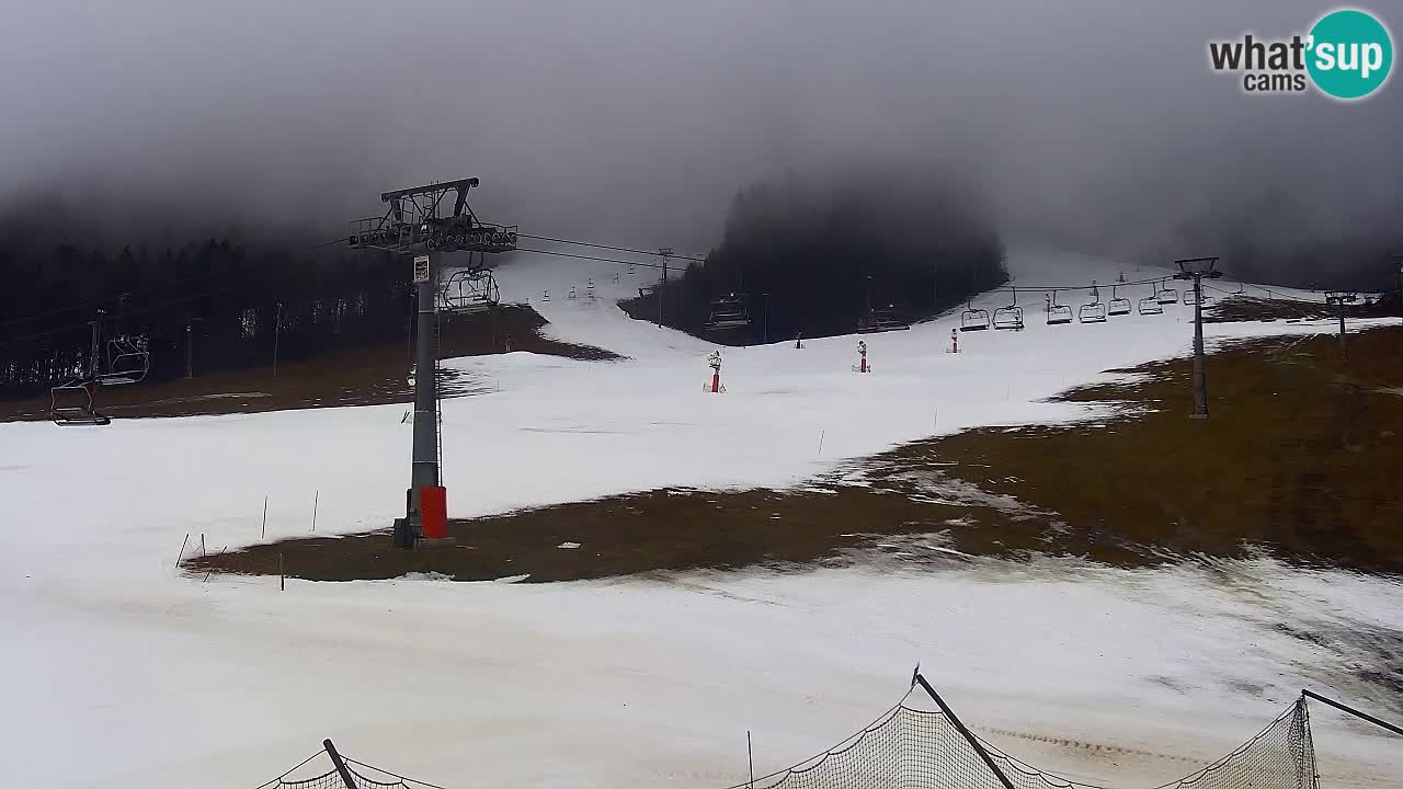 LIVE-Kamera SKI Kranjska Gora – Vitranc – Slowenien