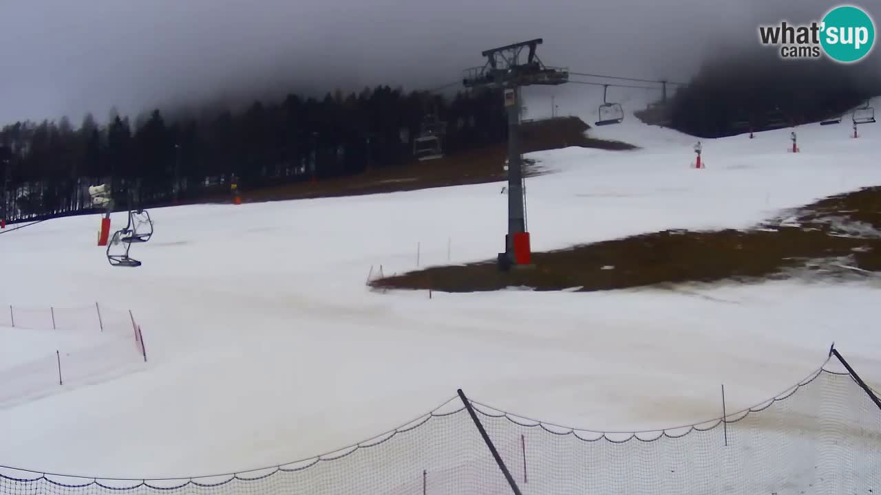 Webcam Kranjska Gora Vitranc | Smučarska proga Vitranc 1