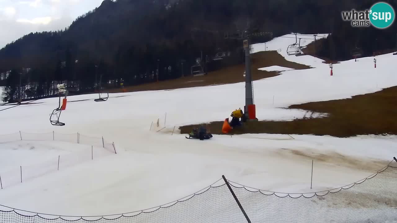 Webcam Kranjska Gora Vitranc | Smučarska proga Vitranc 1