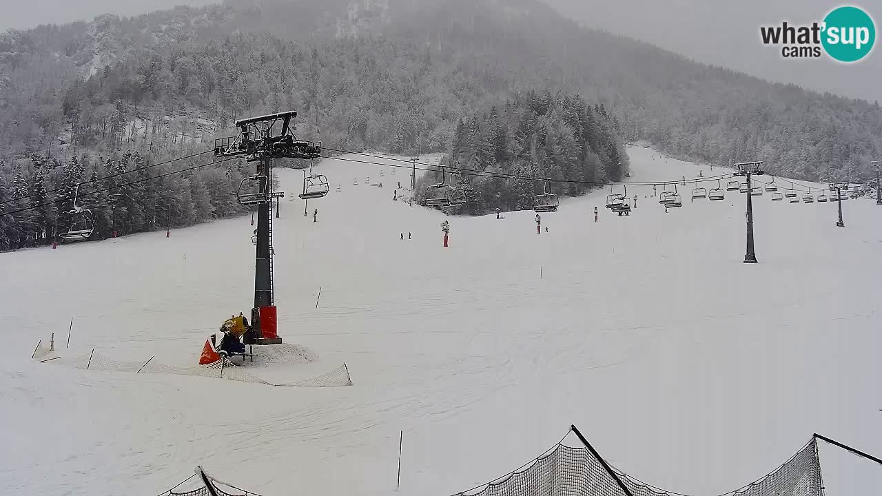 LIVE-Kamera SKI Kranjska Gora – Vitranc – Slowenien