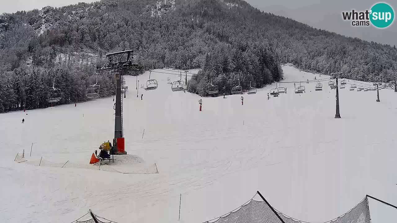 LIVE-Kamera SKI Kranjska Gora – Vitranc – Slowenien