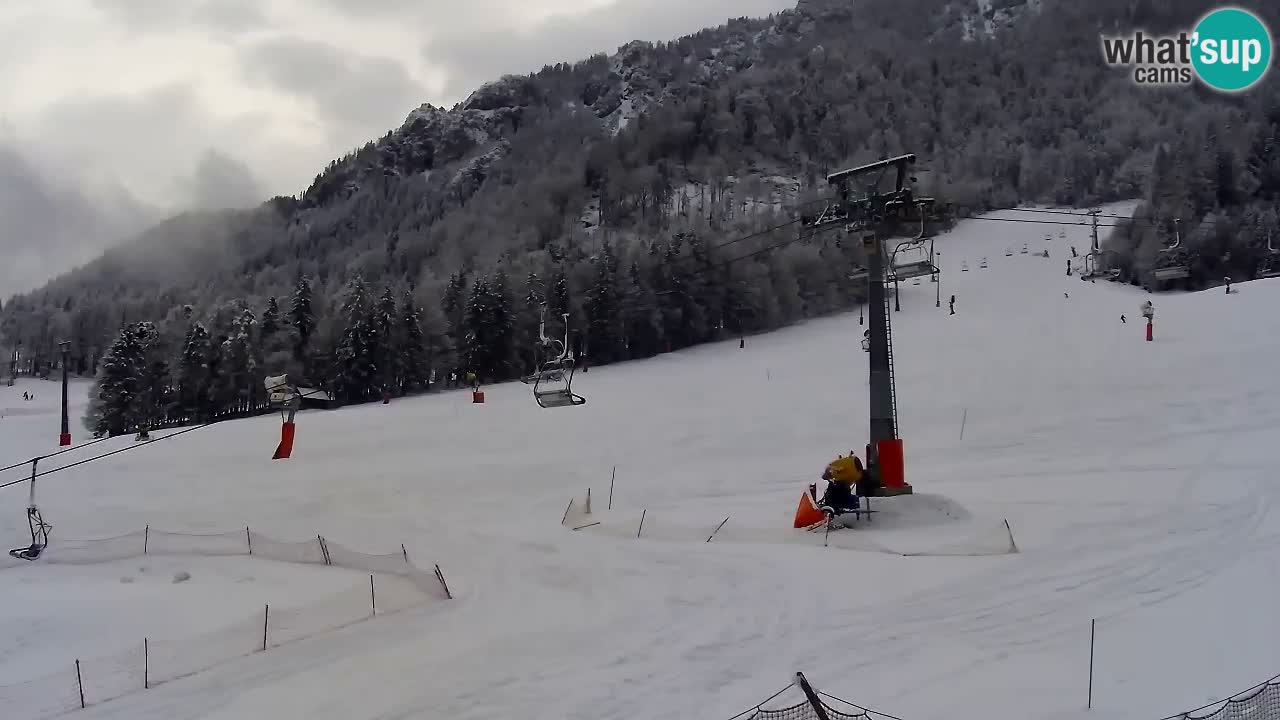 Kranjska Gora Live Cam Vitranc 1 | SKI Resort