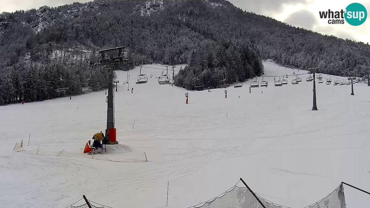 LIVE cam SKI Kranjska Gora – Vitranc – Slovenia