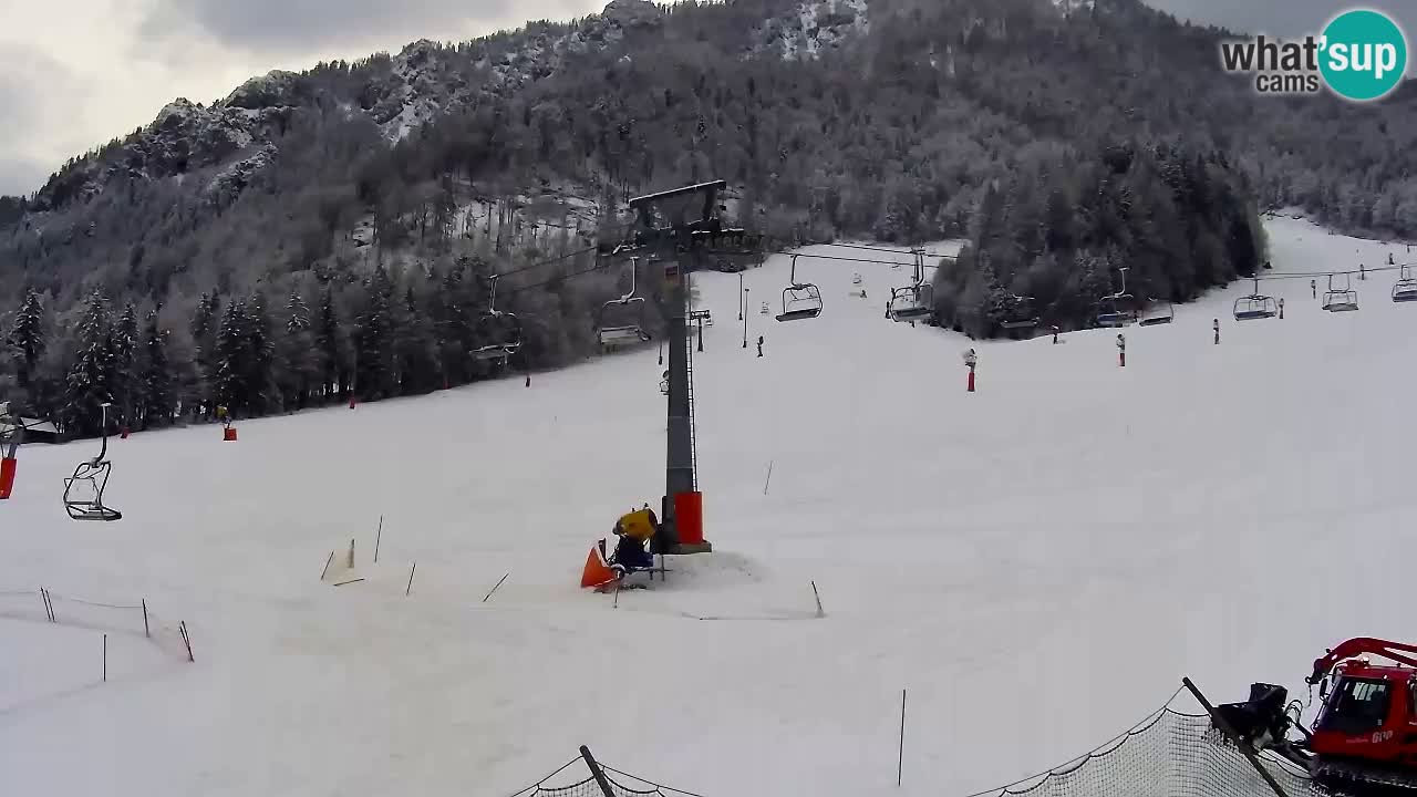 Kranjska Gora Live Cam Vitranc 1 | SKI Resort