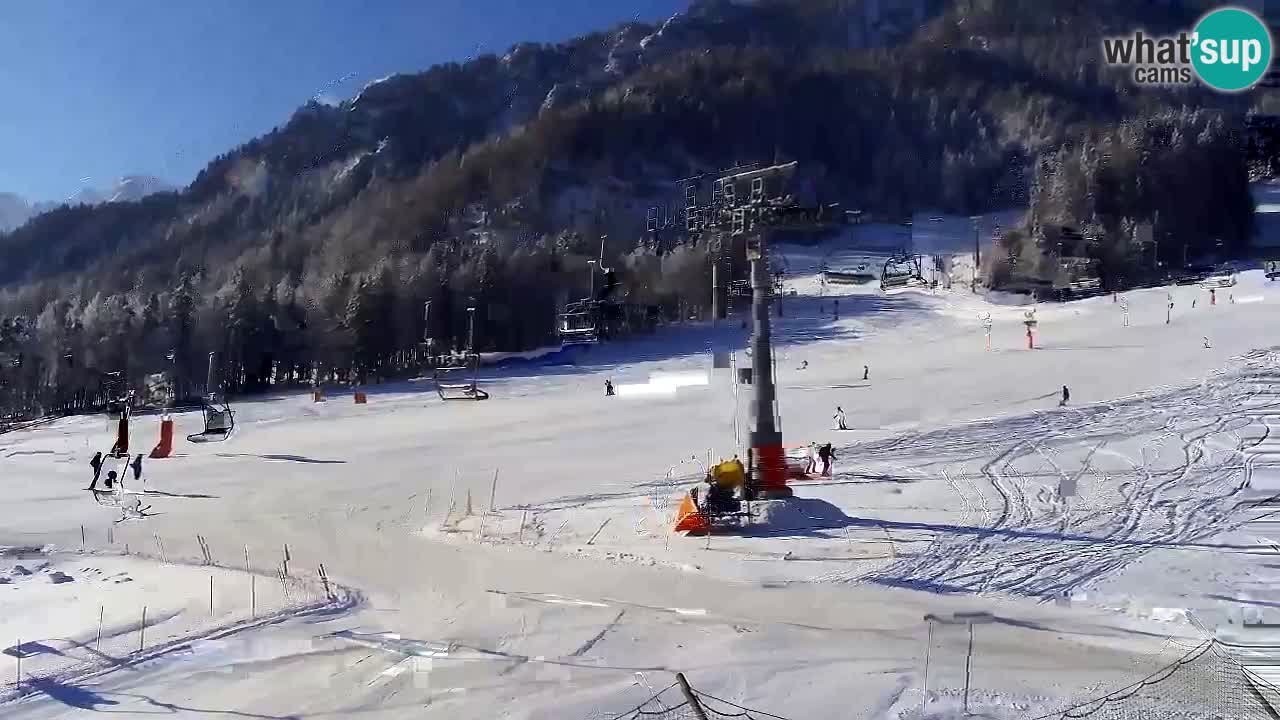 Bike Park Kranjska Gora