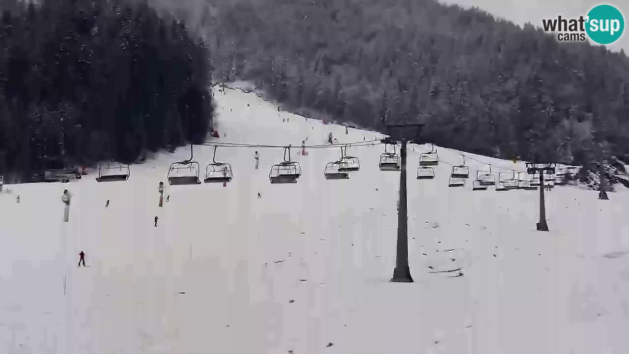 LIVE-Kamera SKI Kranjska Gora – Vitranc – Slowenien