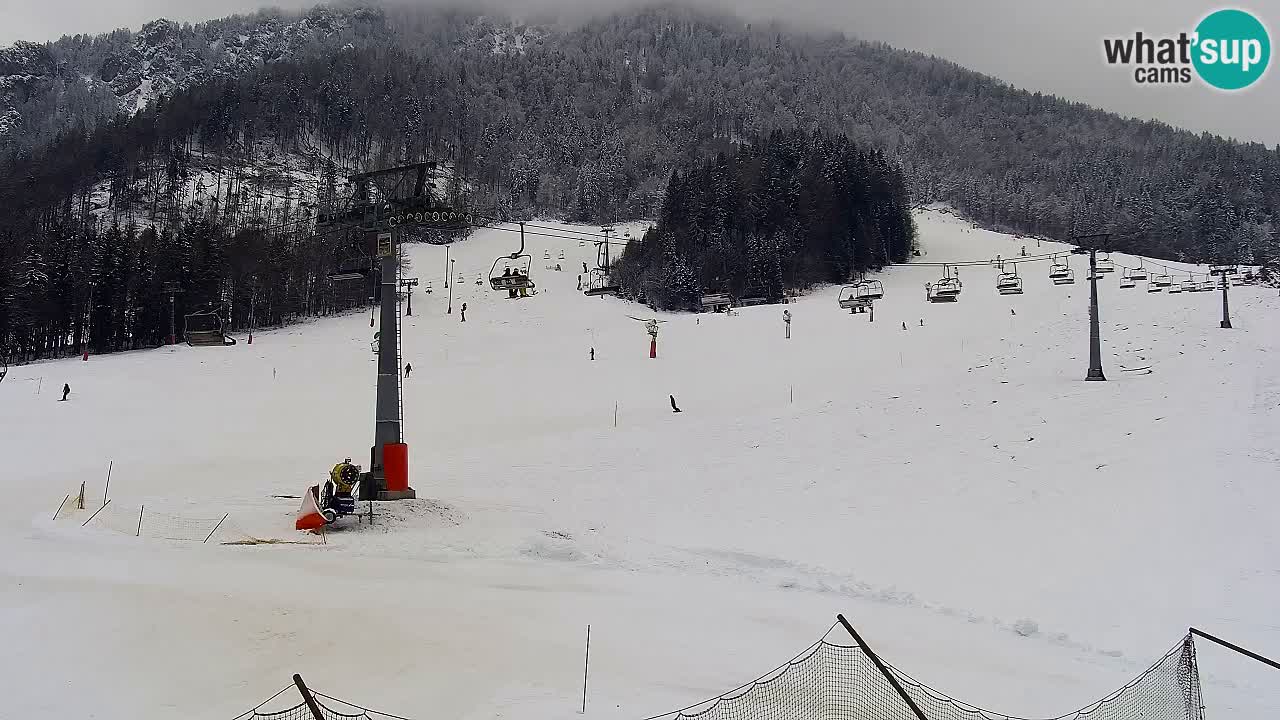 LIVE cam SKI Kranjska Gora – Vitranc – Eslovenia