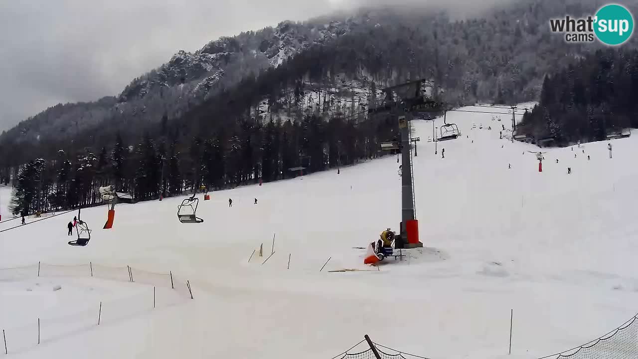 LIVE-Kamera SKI Kranjska Gora – Vitranc – Slowenien