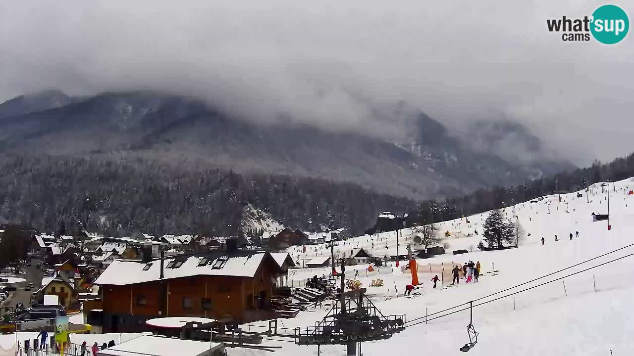 Smučarska proga Vitranc 1 Spletna kamera Kranjska Gora