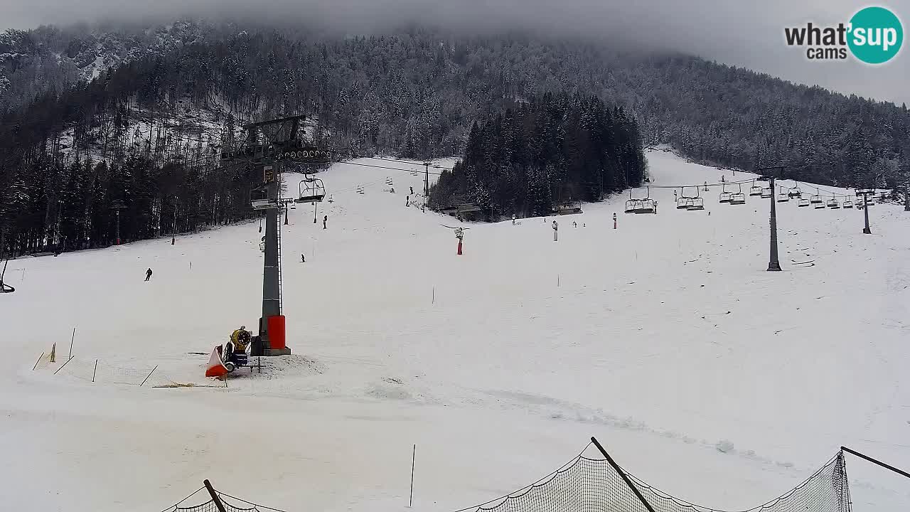 LIVE cam SKI Kranjska Gora – Vitranc – Slovenia