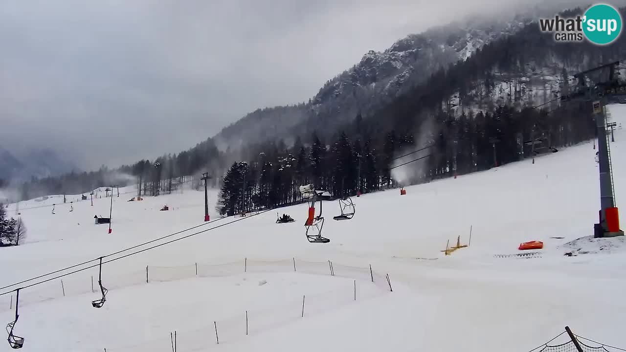 LIVE kamera SKI Kranjska Gora – Vitranc – Slovenija