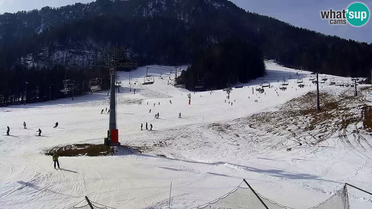 Webcam Kranjska Gora Vitranc | Smučarska proga Vitranc 1