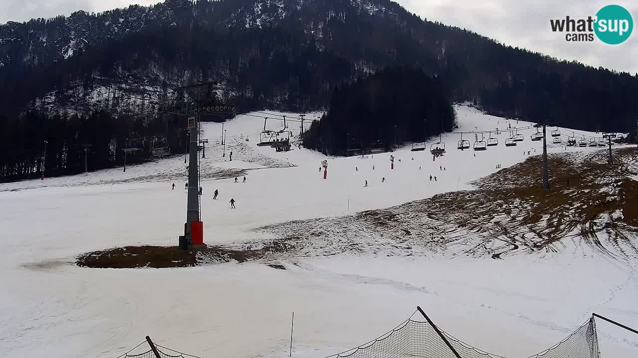 Webcam Kranjska Gora Vitranc | Smučarska proga Vitranc 1