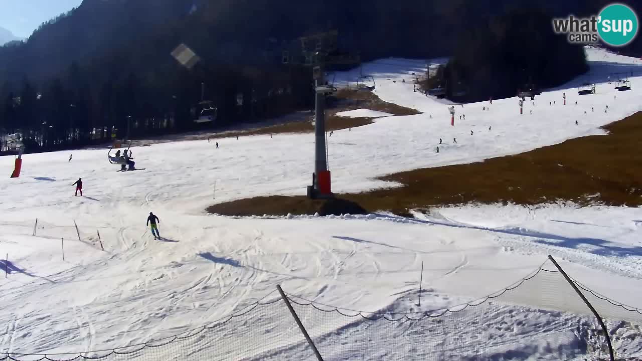 LIVE-Kamera SKI Kranjska Gora – Vitranc – Slowenien