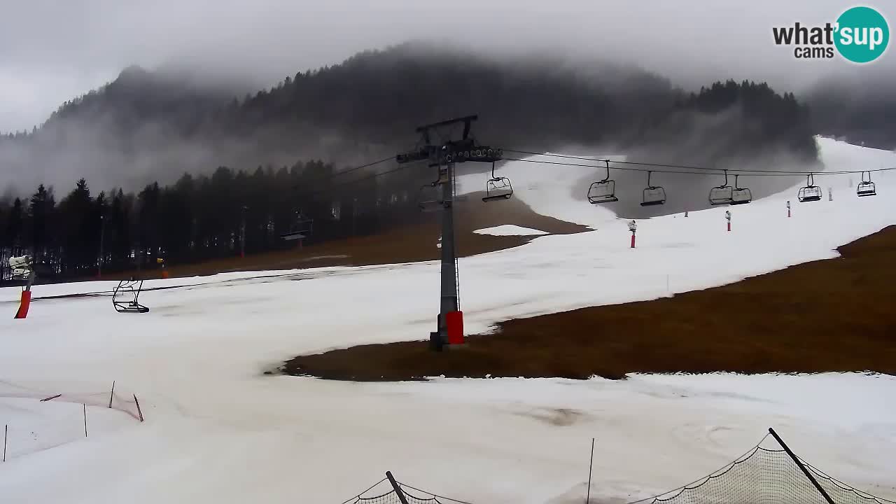 LIVE kamera SKI Kranjska Gora – Vitranc – Slovenija