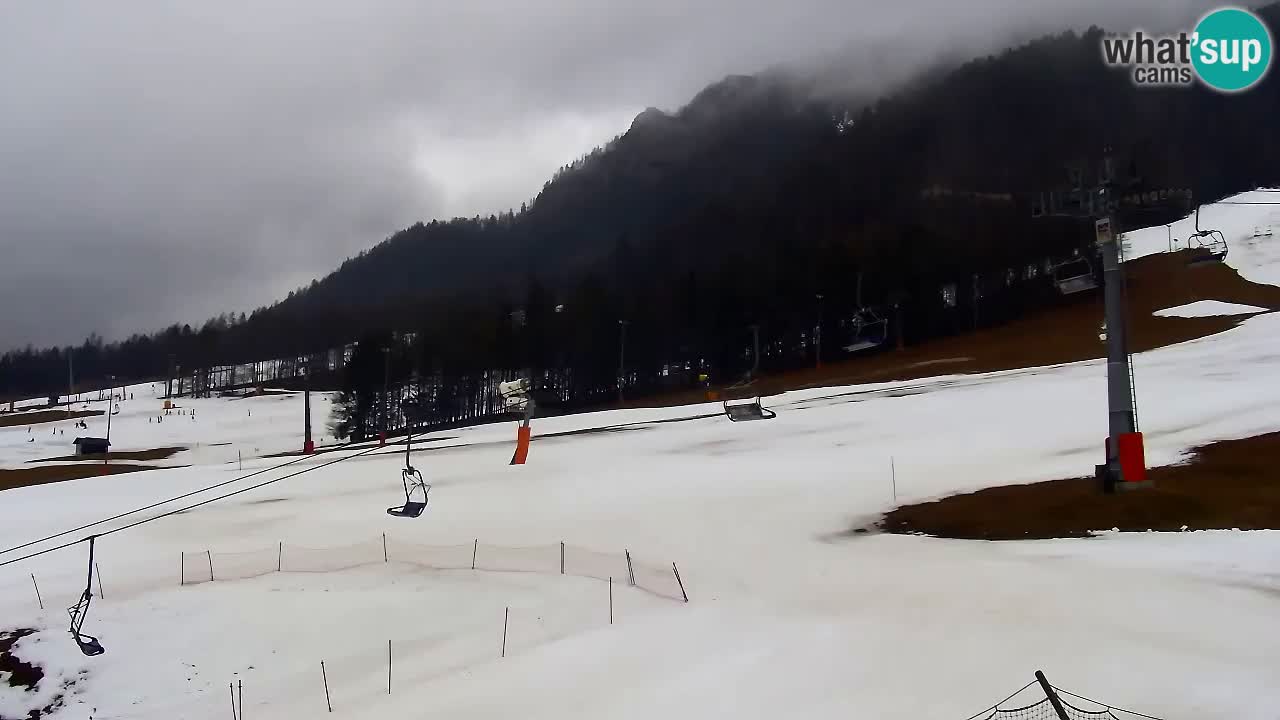 LIVE kamera SKI Kranjska Gora – Vitranc – Slovenija