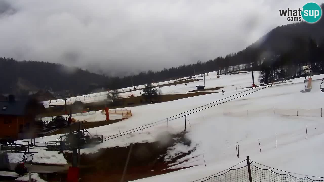 Webcam Kranjska Gora Vitranc | Smučarska proga Vitranc 1