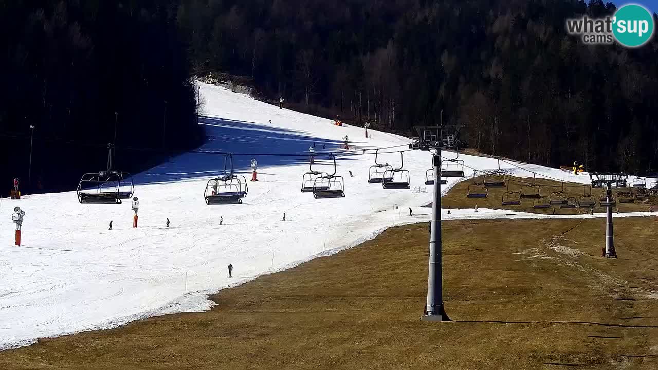 Webcam Kranjska Gora Vitranc | Smučarska proga Vitranc 1