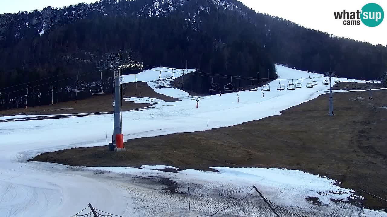 Webcam Kranjska Gora Vitranc | Smučarska proga Vitranc 1